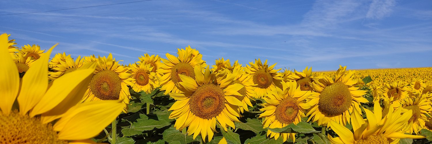 Ernst machen: Gesundheits- und Klimaschutz jetzt banner