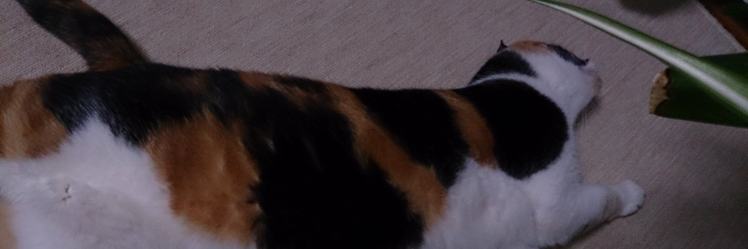 naosuke0305's profile banner image