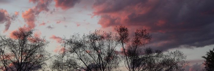 hanatellybelly's profile banner image