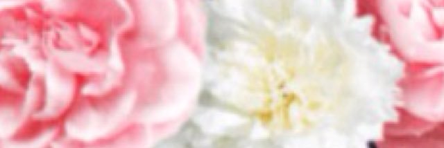 tg__reiaa's profile banner image