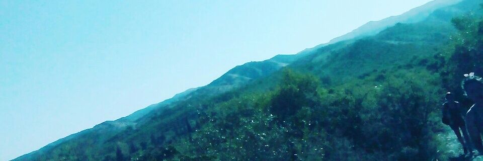 araa_styll's profile banner image