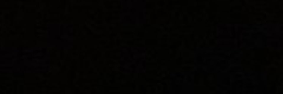 runiarinta's profile banner image