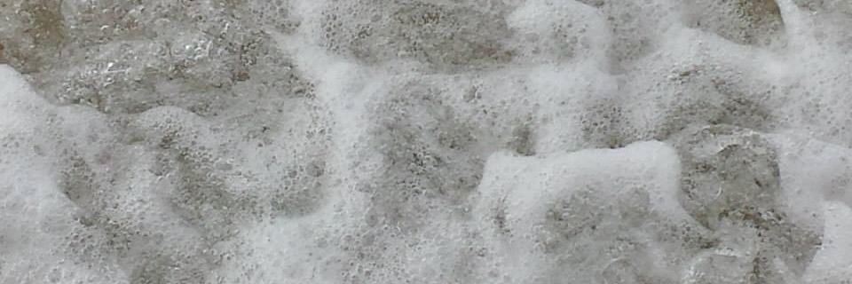 Emma Popps banner