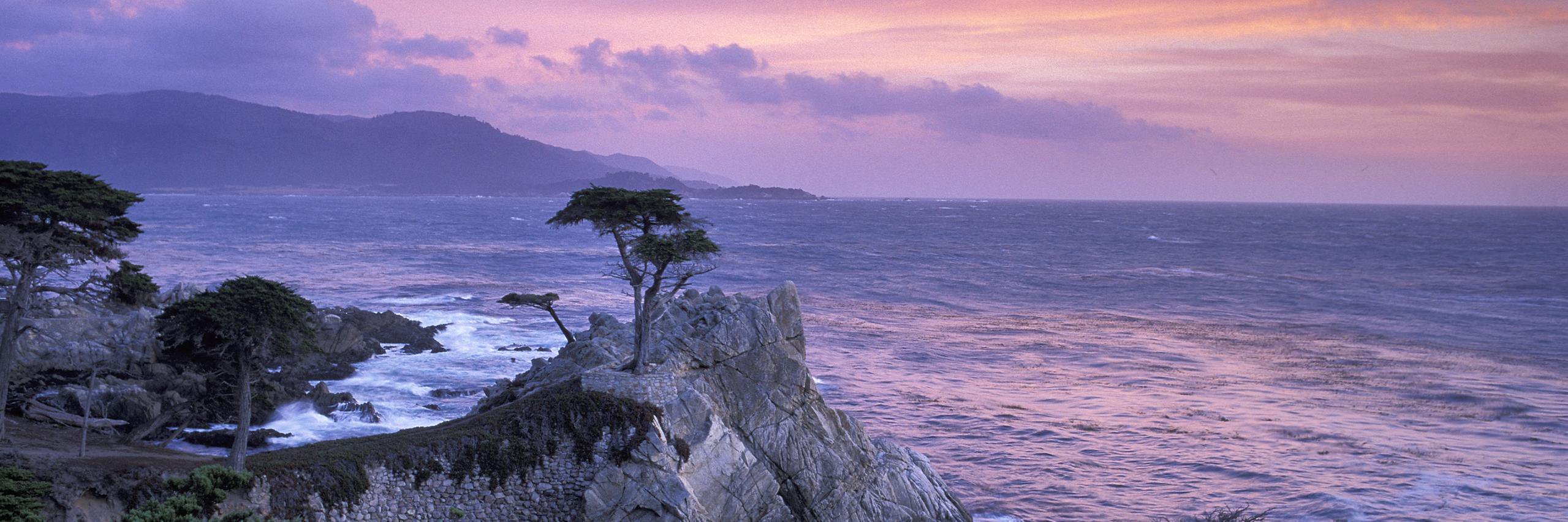 Andrew Corrigan banner