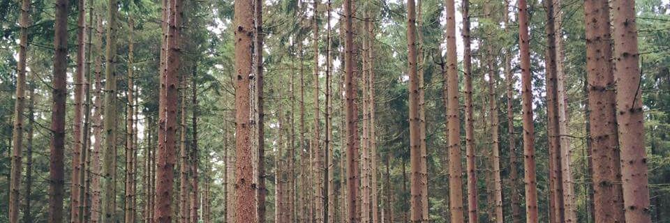 michaelkuiter's profile banner image