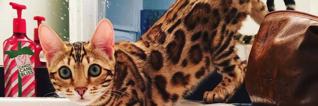 Keegan220's profile banner image