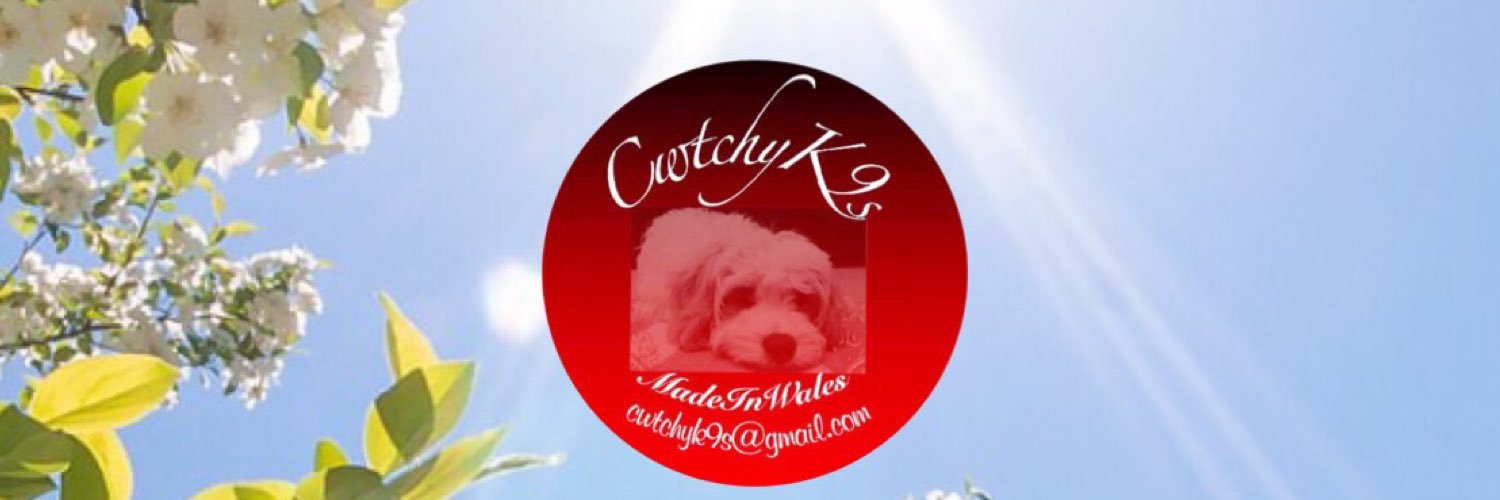 CwtchyCavas's profile banner image
