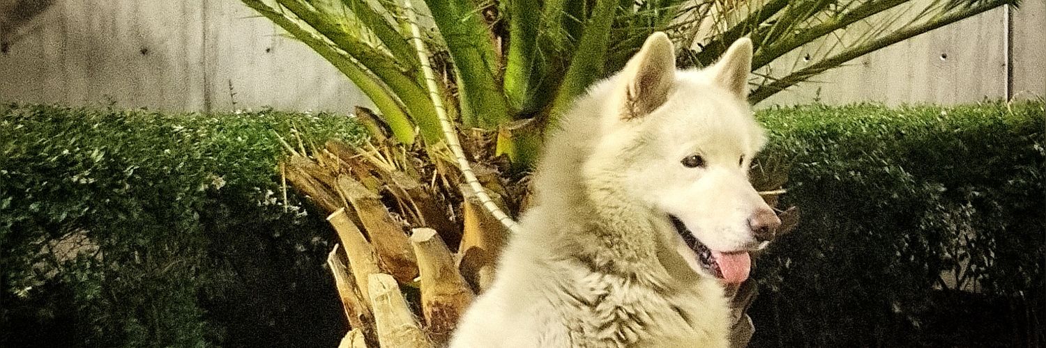 danielpineda7_'s profile banner image