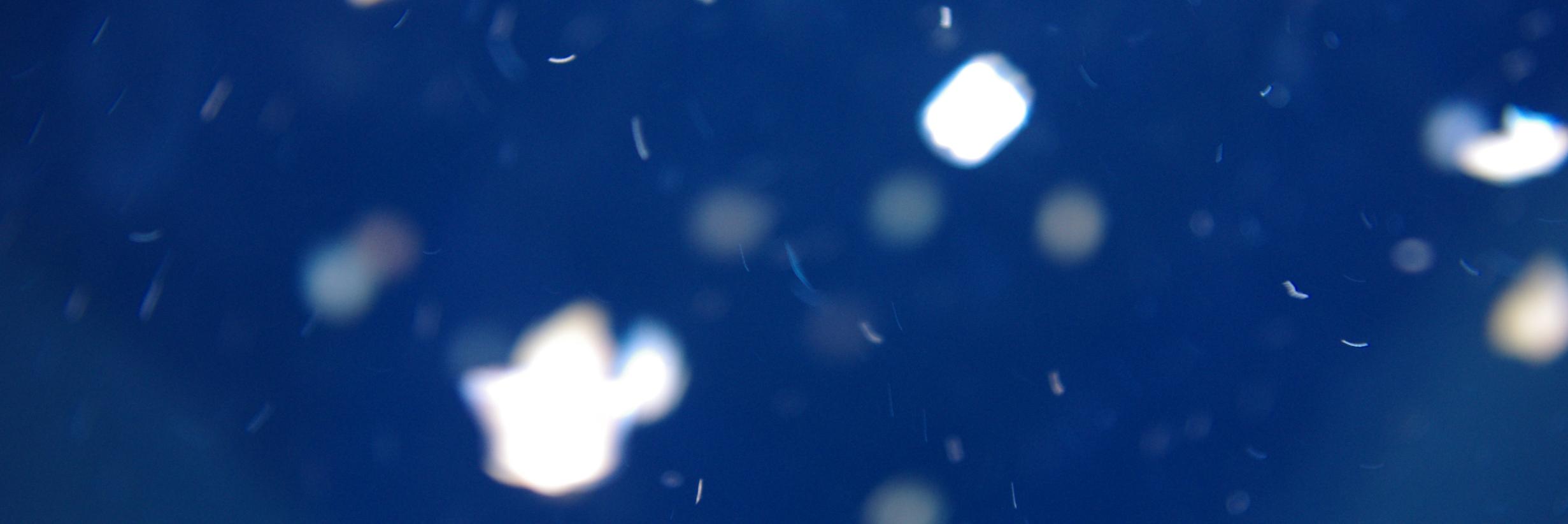 Miriam Olbrisch banner