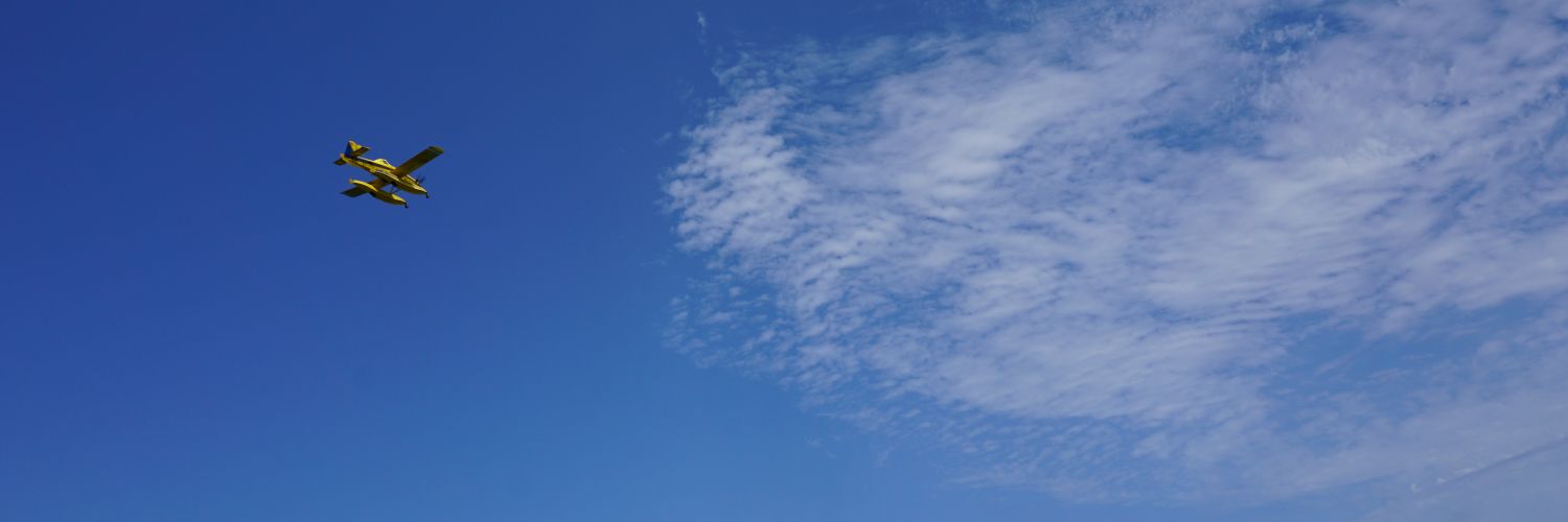 Leonardo Pellegrina banner