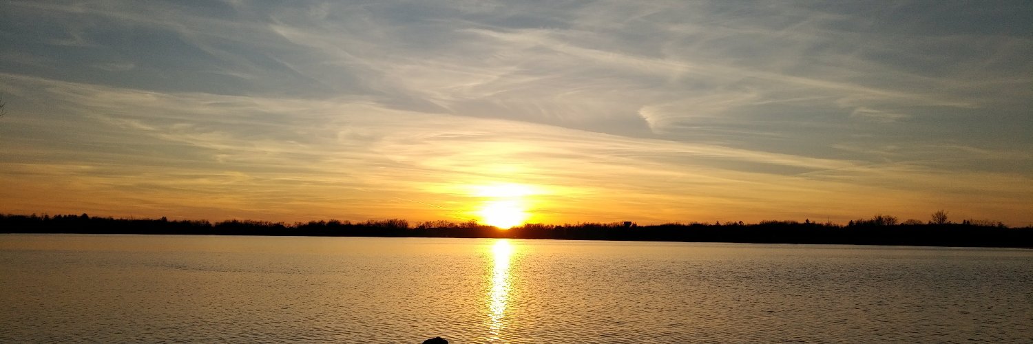 Adriana Carrillo CITP/FIBP banner