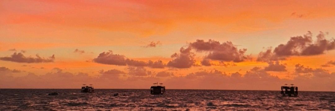thaA_iris's profile banner image
