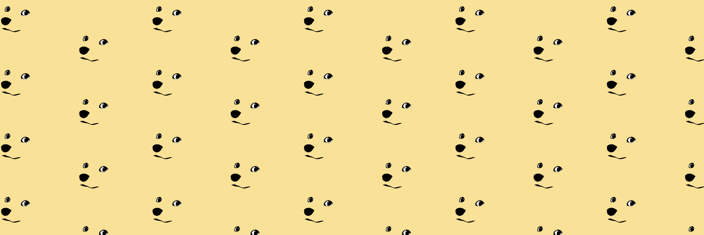 ratedogs's profile banner image