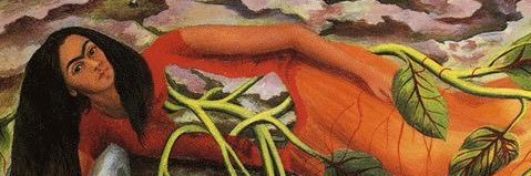 juanita alimaña banner