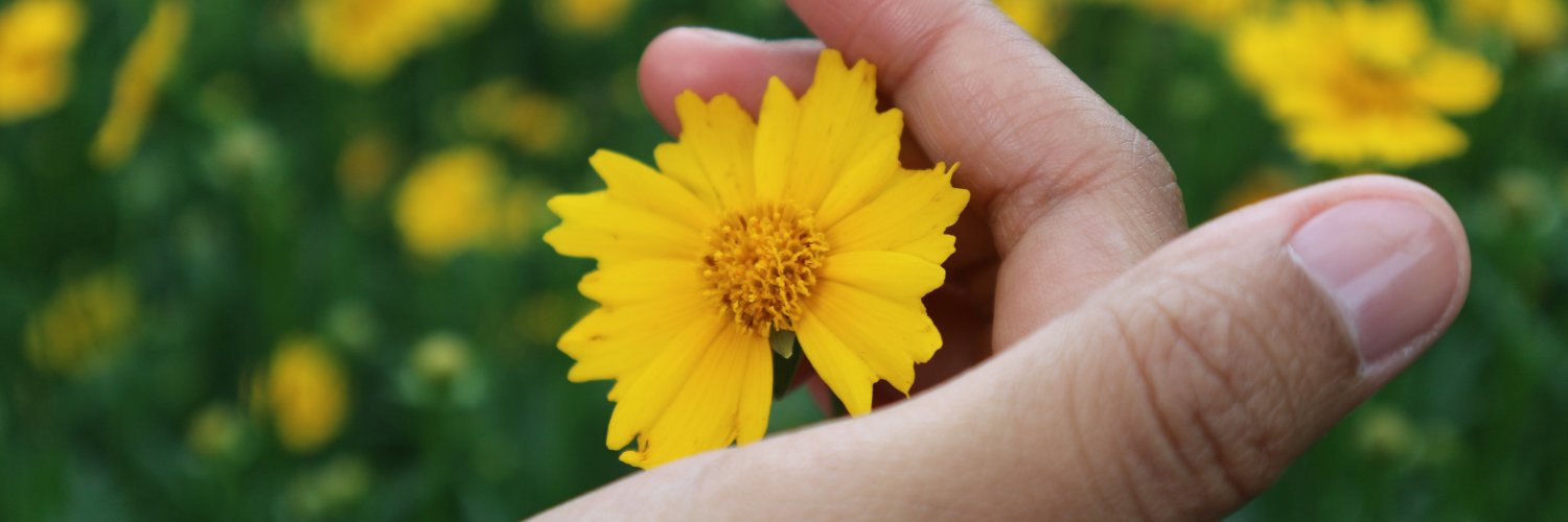 andrianirena's profile banner image