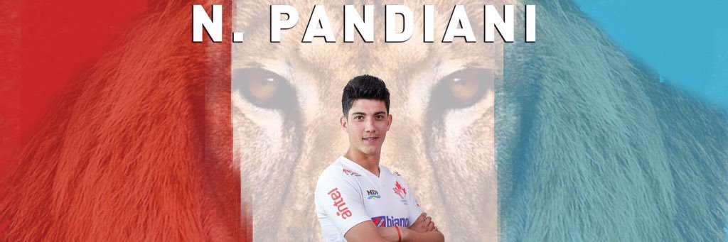 NicoPandiani6's profile banner image