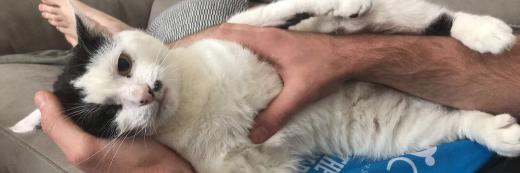 CloRawr's profile banner image