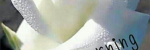 sudsun's profile banner image