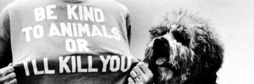 sofiasnofors's profile banner image
