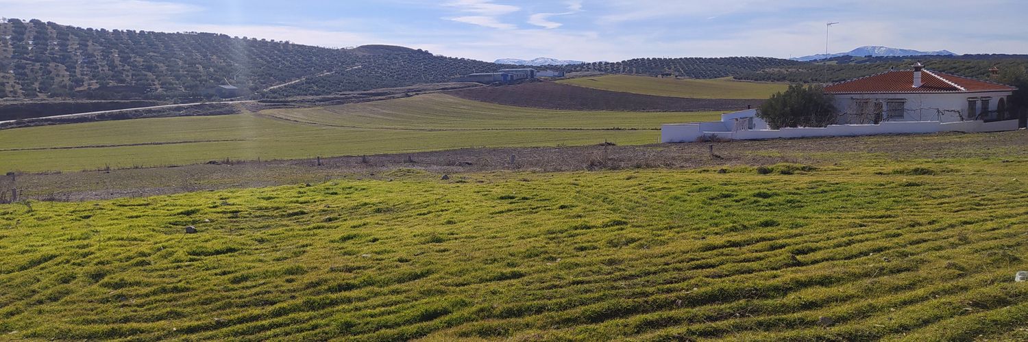 Amílcar Barca banner
