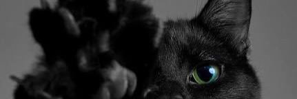 imsrslyMAD's profile banner image