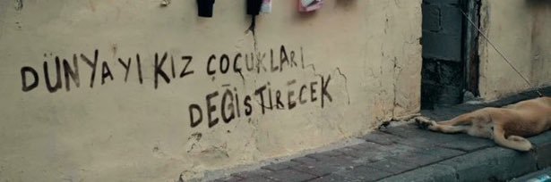 Cleossz's profile banner image