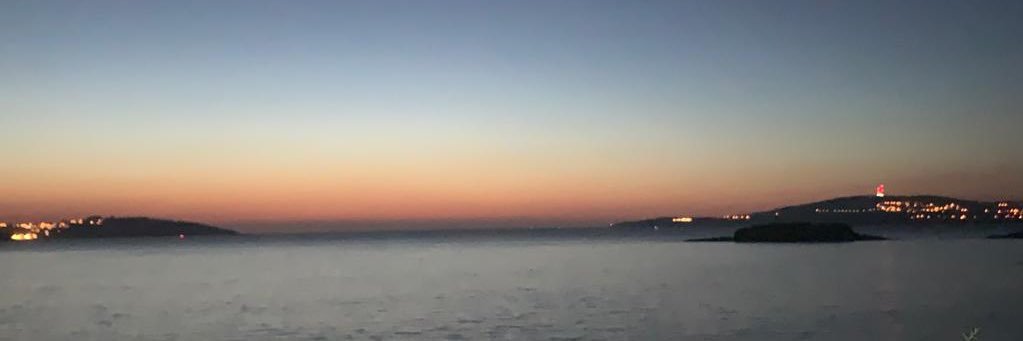 lafacla banner