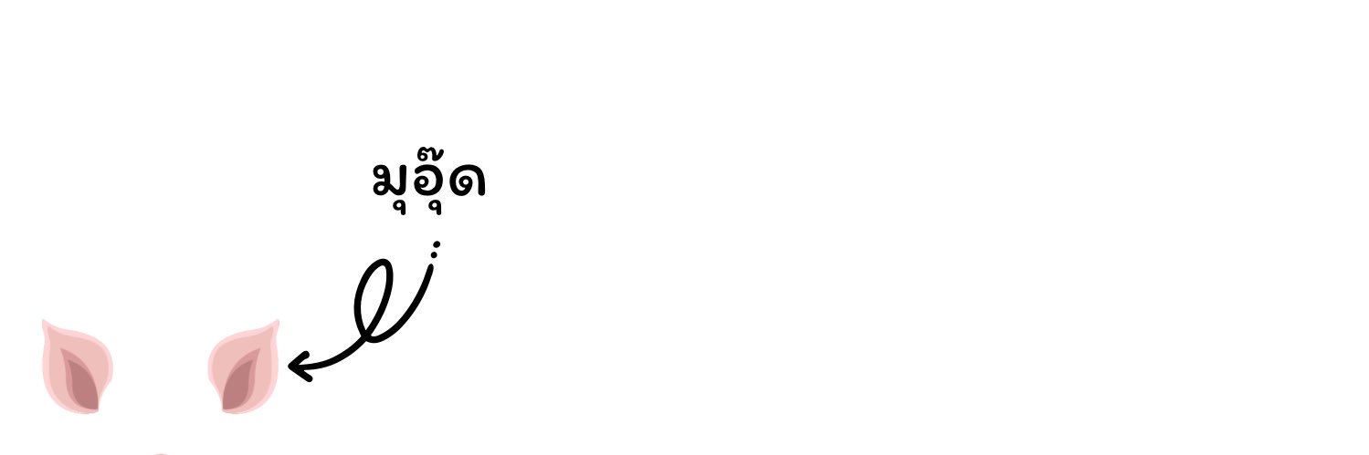 Aom_1217's profile banner image