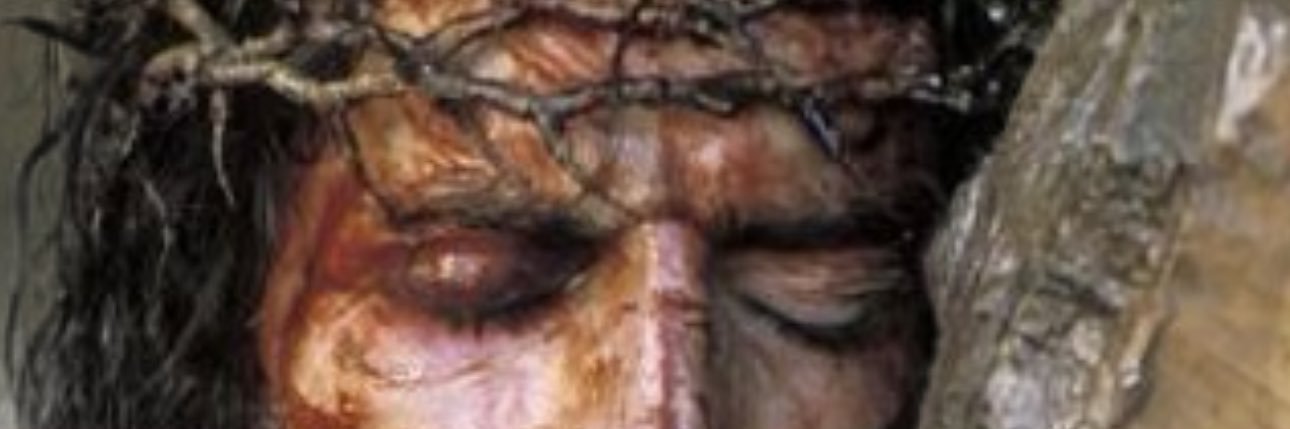 S_fuentes_C's profile banner image