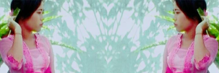 fina silviantari banner