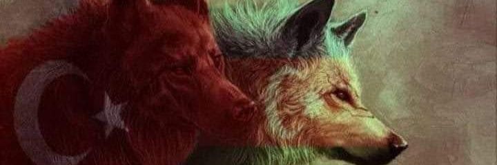 evrenzkan's profile banner image