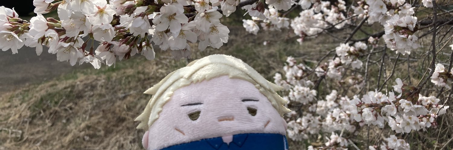 雪 banner
