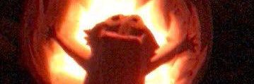 littlepixielexi's profile banner image