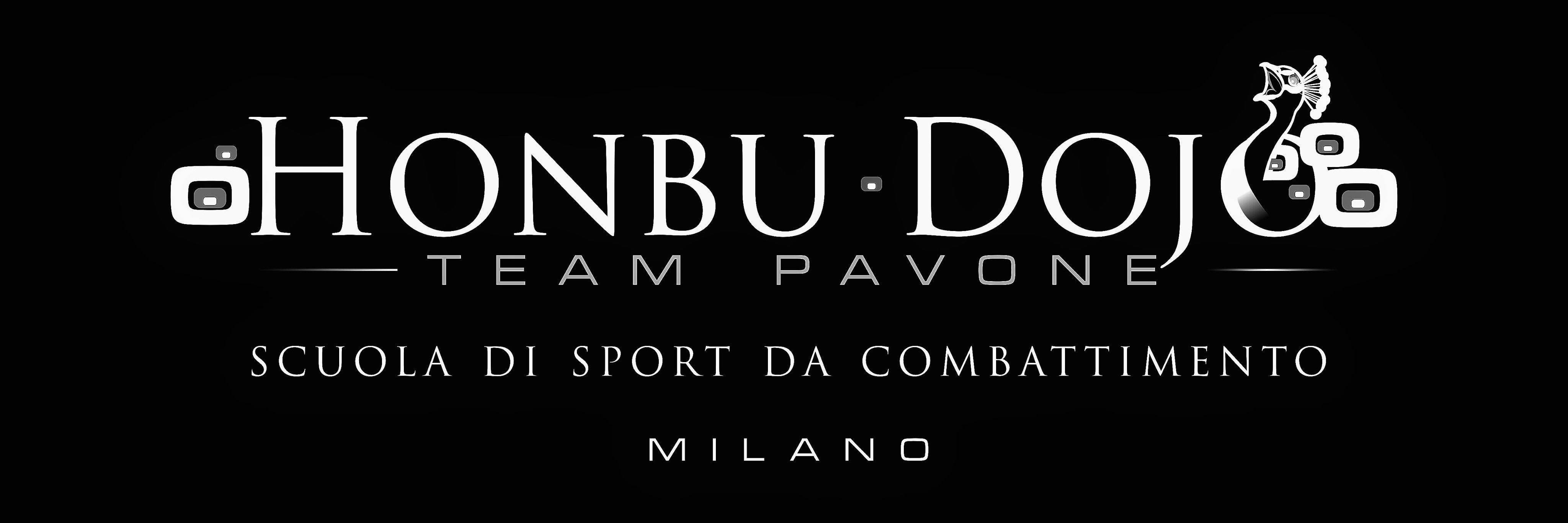 teampavone's profile banner image
