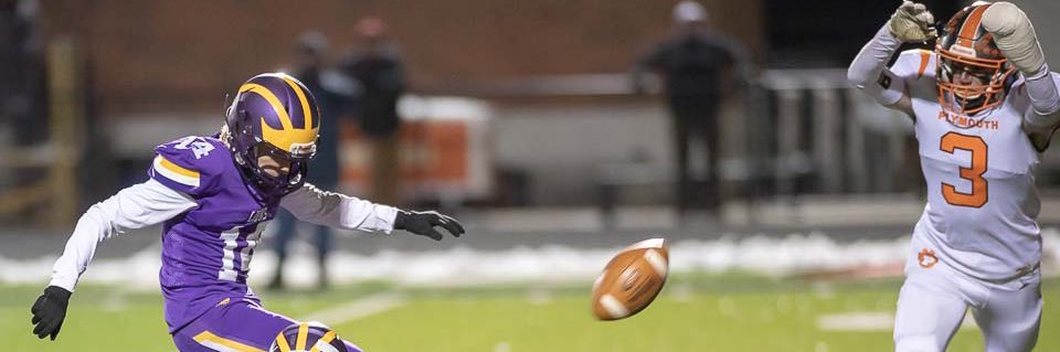 Stjepan Peharda banner