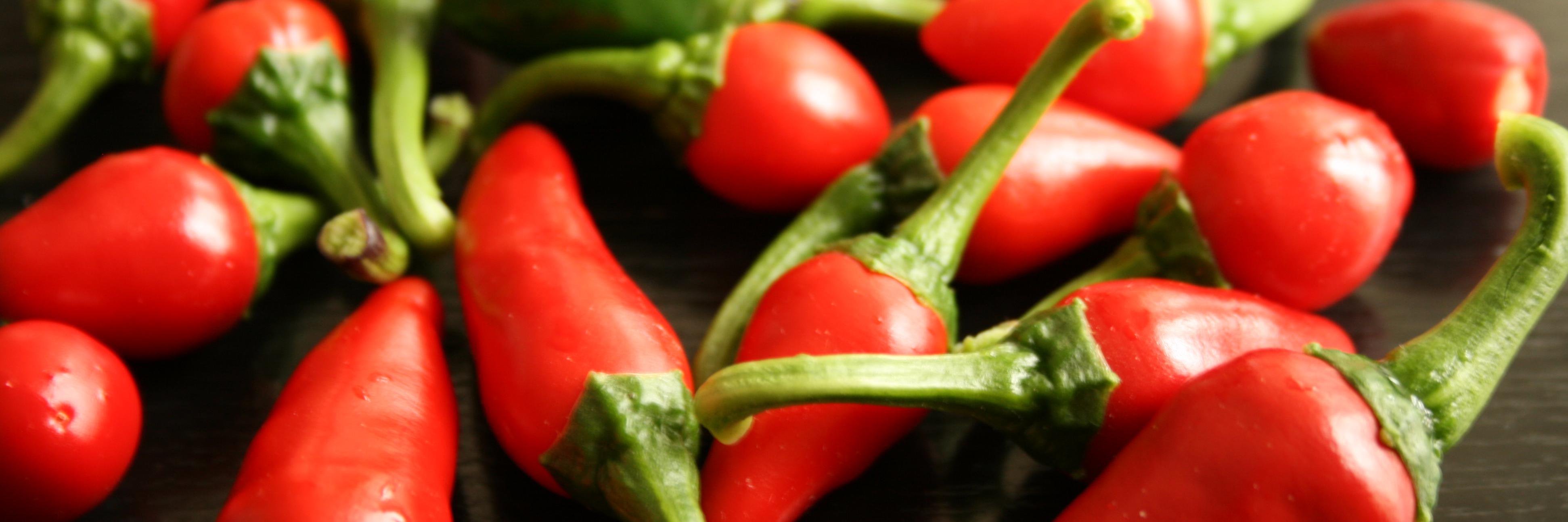 An dr. Až Zorko banner