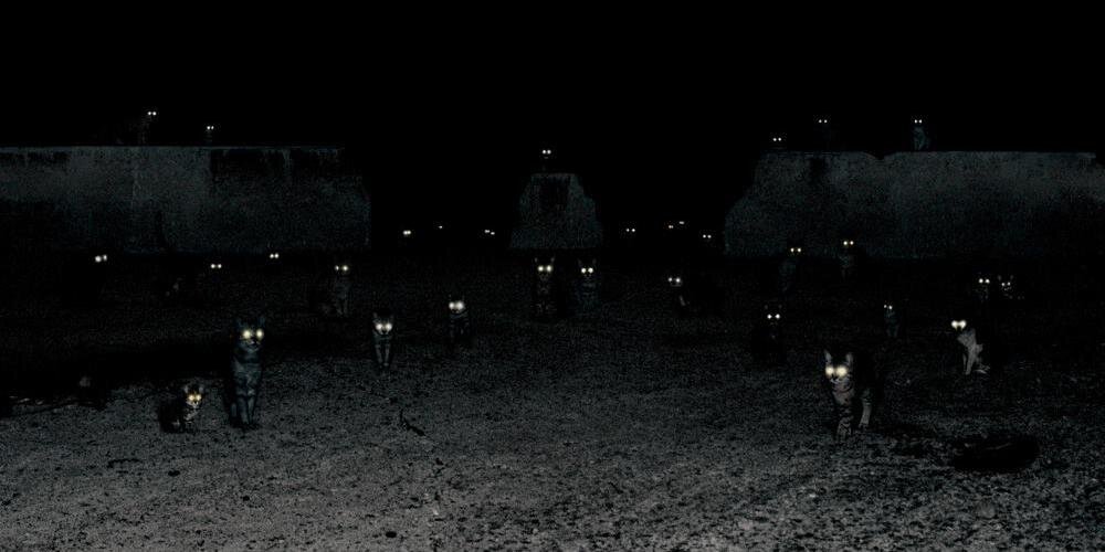 svengrothe's profile banner image