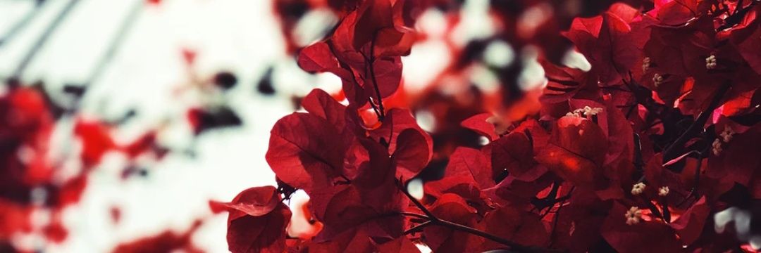 Karmasphere_'s profile banner image