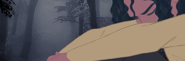 SpicyRedPaladin's profile banner image