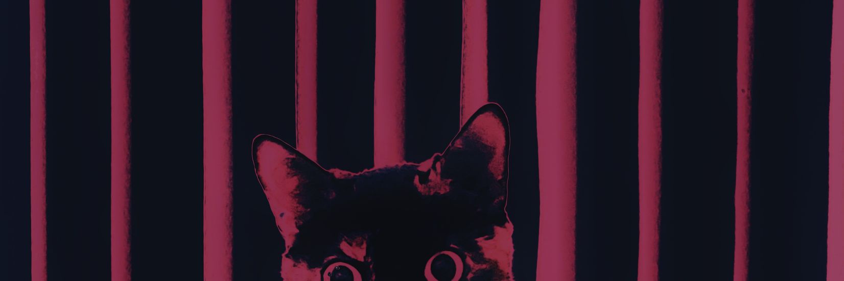 ogaitch_ps's profile banner image