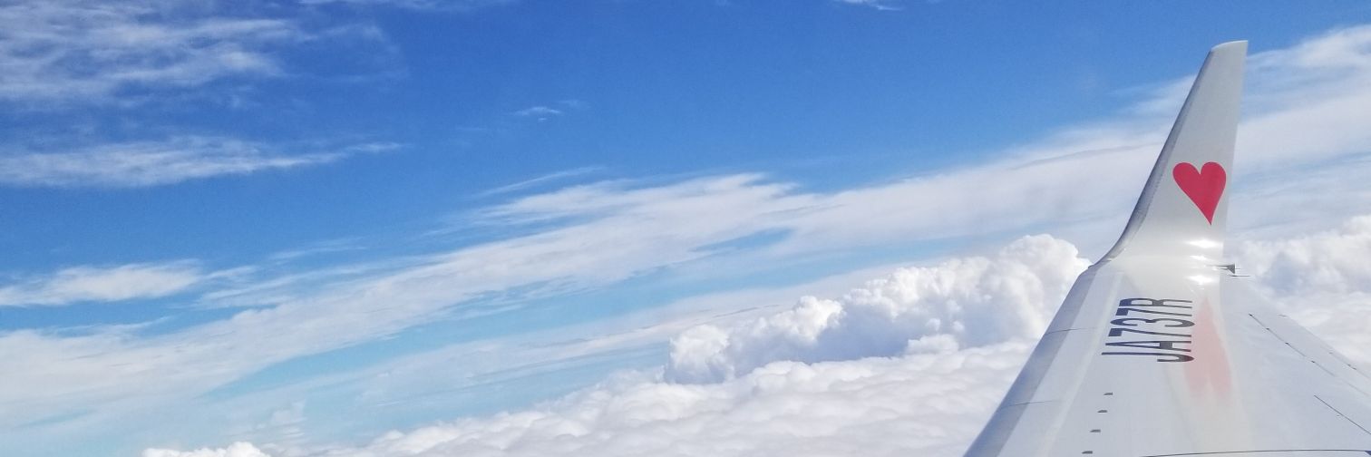 cobe_omi's profile banner image