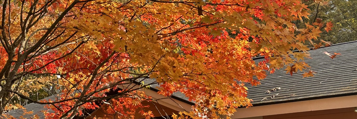 h1208_m's profile banner image