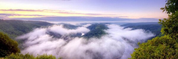 TinyDeveloper Profile Banner