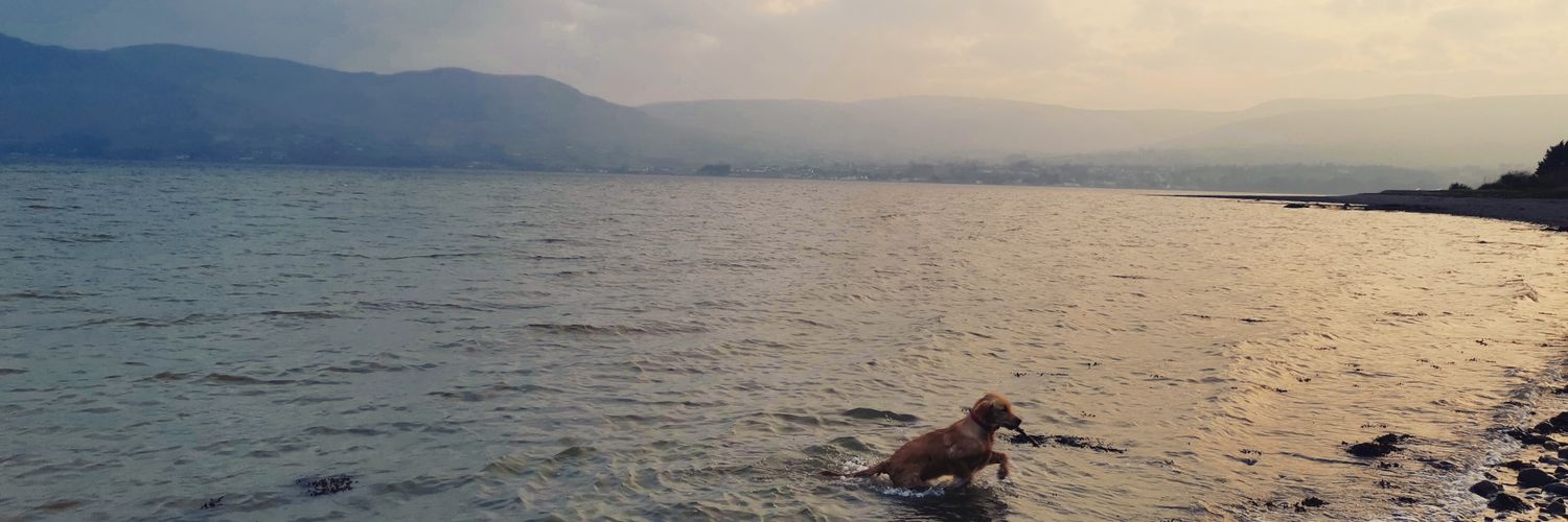 seetpetite's profile banner image