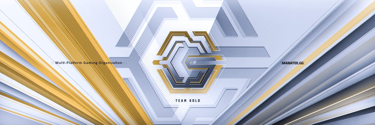 TeamGoldGG's profile banner image