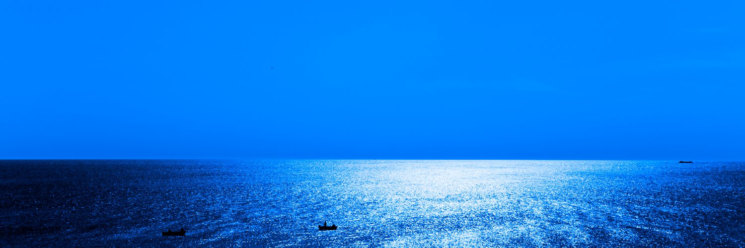 Anna Larsson banner