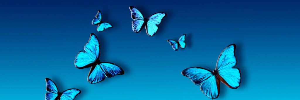 ajai_deon's profile banner image