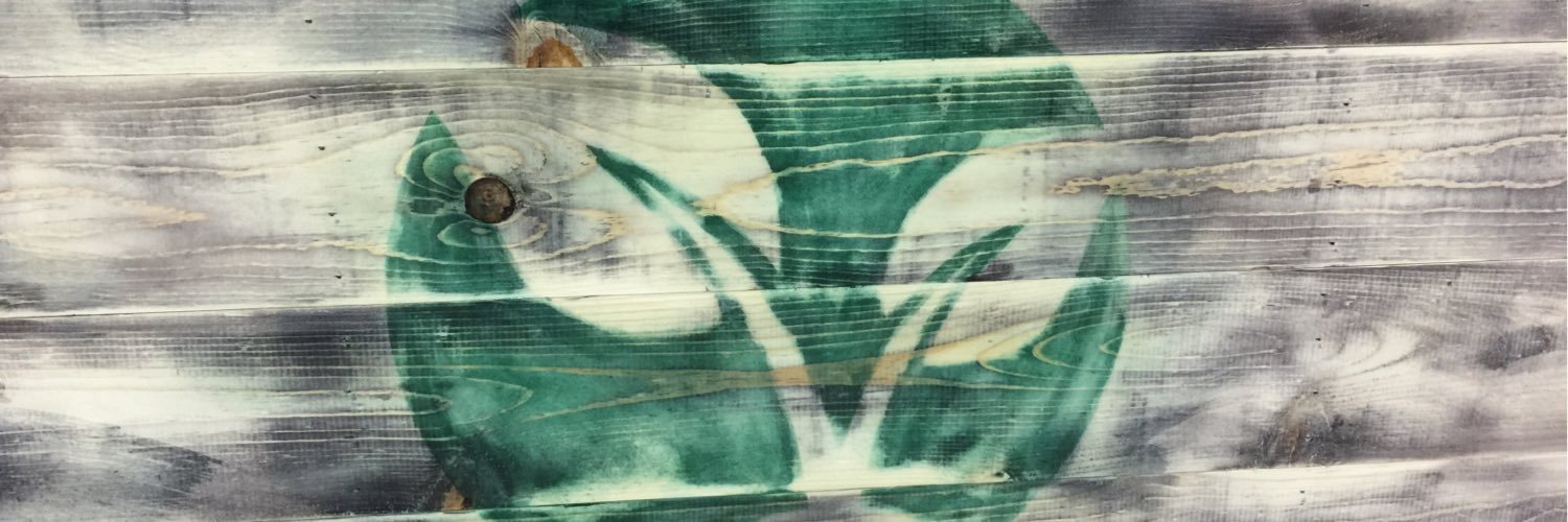 grows_llc's profile banner image