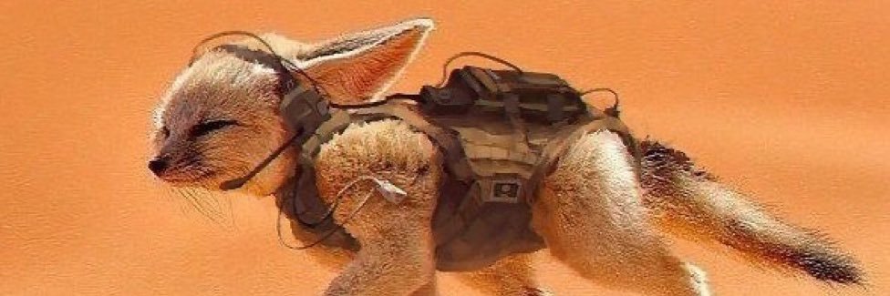 maxerrackham's profile banner image