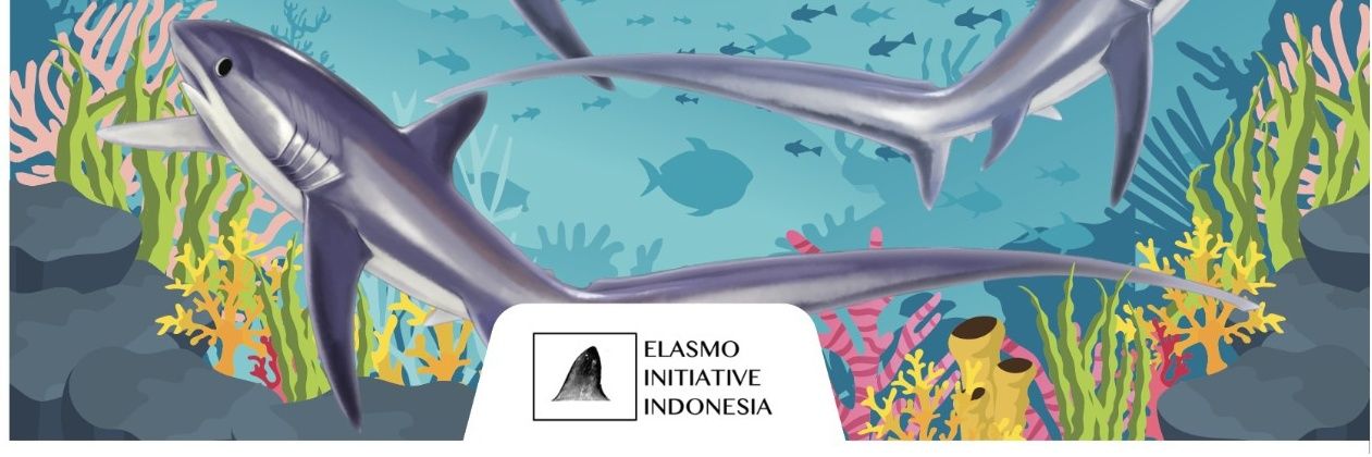 Muhammad Ichsan banner
